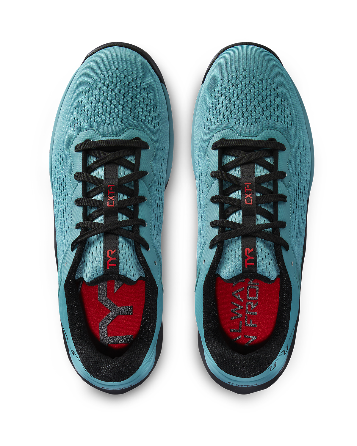 Product image for 342 Teal