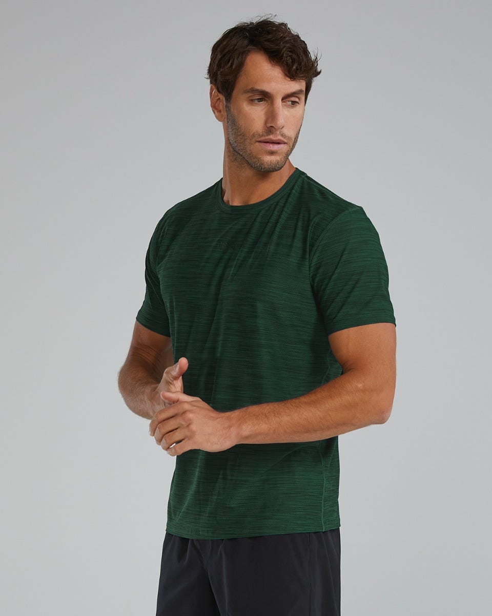 Product image for 305 Evergreen