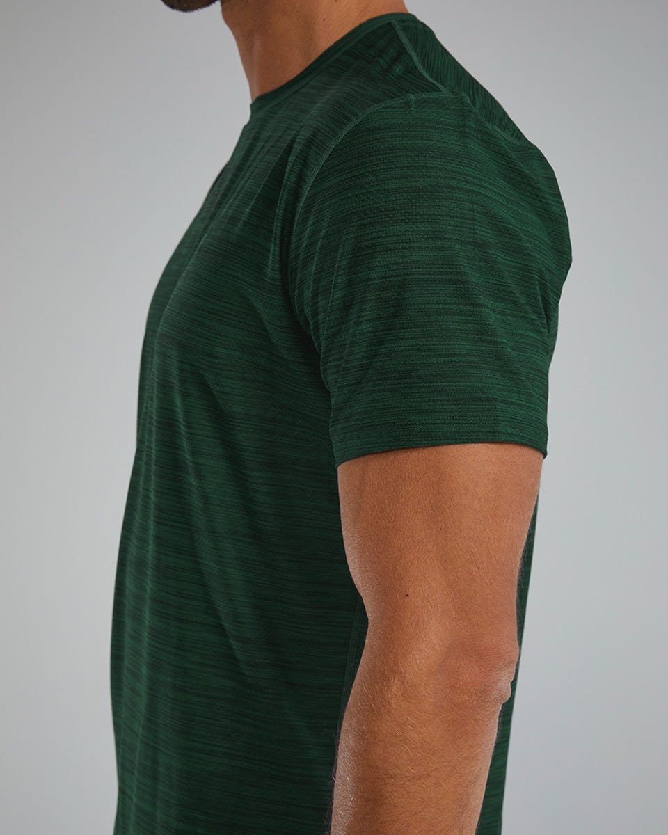 Product image for 305 Evergreen