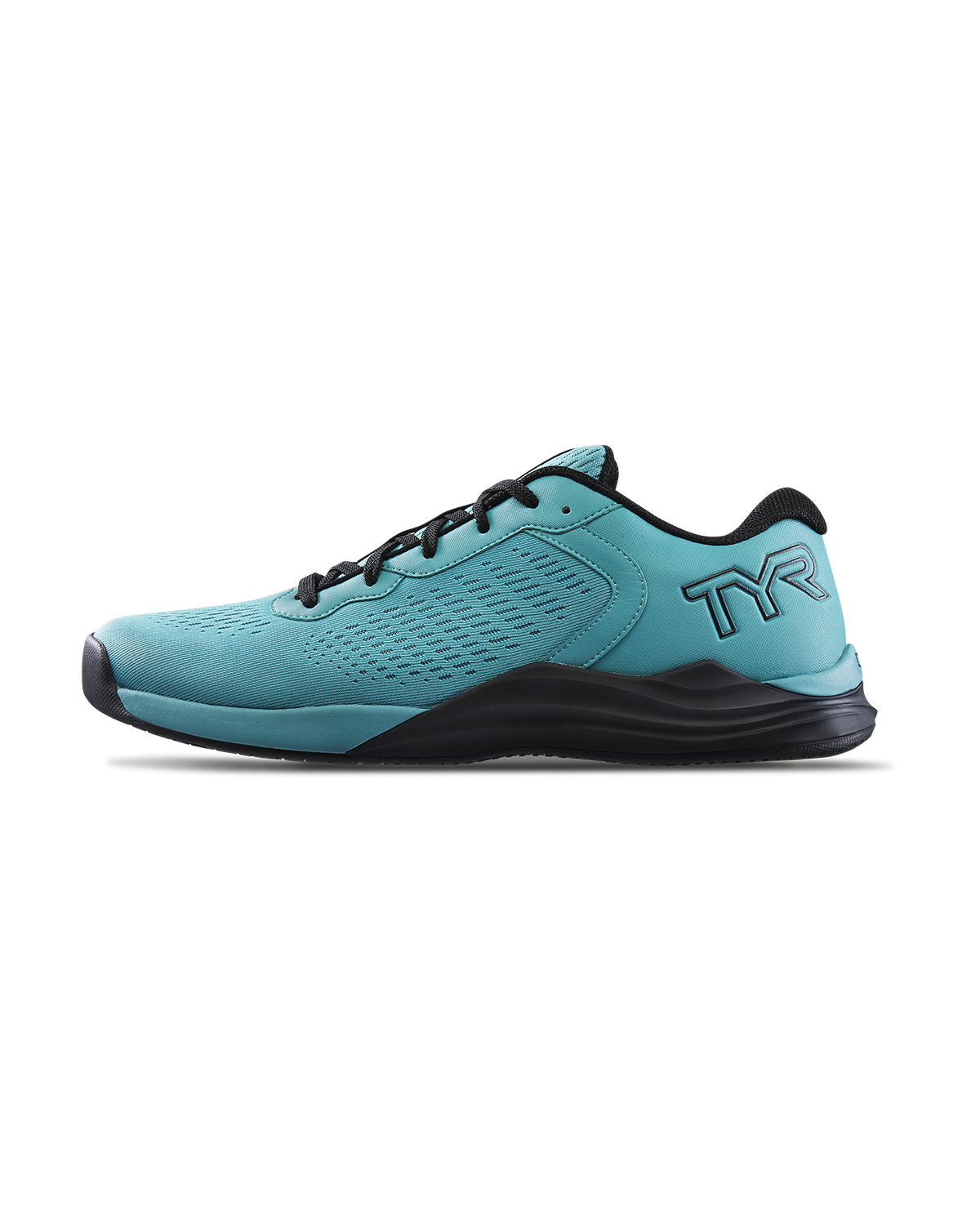 ::342 Teal
