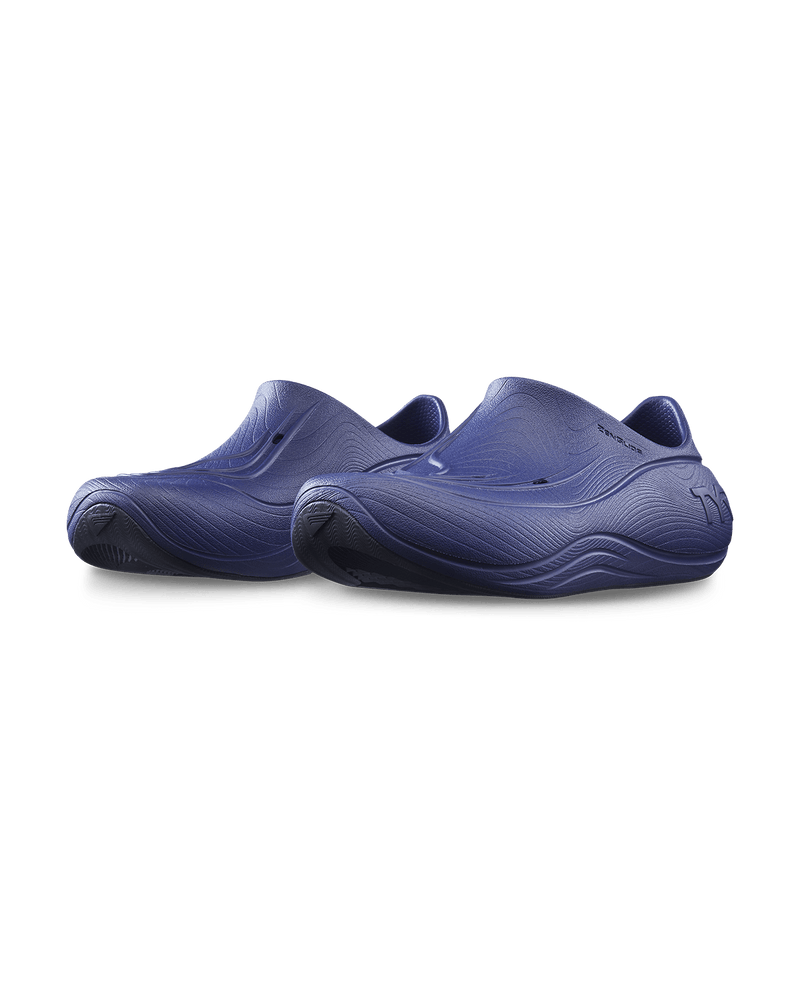 ::239 French Navy