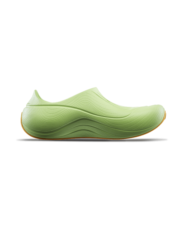 
                    
                      ::300 Light Green
                    
                  